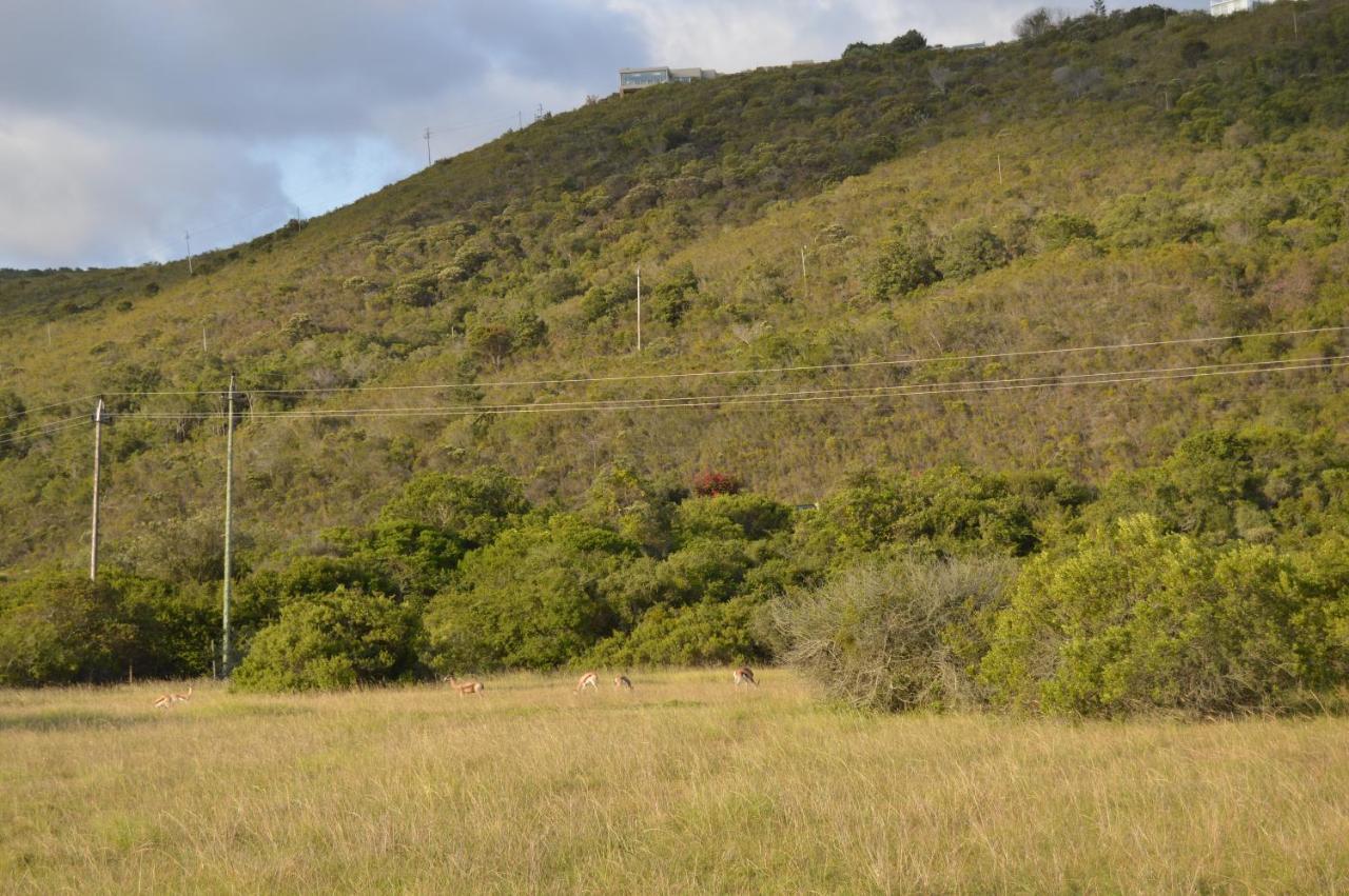Matjesfontein Estate Keurbooms Chalet Plettenberg Bay Extérieur photo
